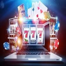 78955 bet